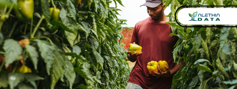 SMART Farming